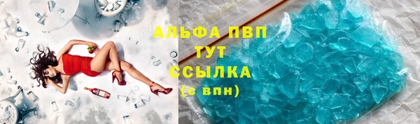 гашик Елизово