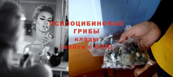 молекула духа Елабуга