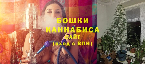 гашик Елизово