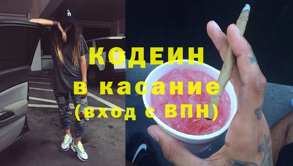 молекула духа Елабуга