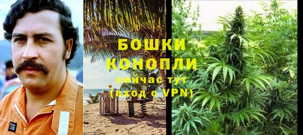 гашик Елизово