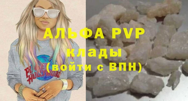 молекула духа Елабуга